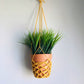 Plant Hanger - Crochet Pattern